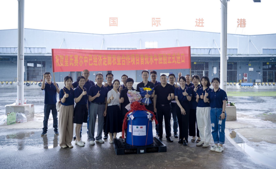 重磅！全國首批5000枚進(jìn)口巴基斯坦優(yōu)質(zhì)奶水牛胚胎入境，第一時(shí)間落戶(hù)皇氏集團投入奶水牛改良繁育生產(chǎn)